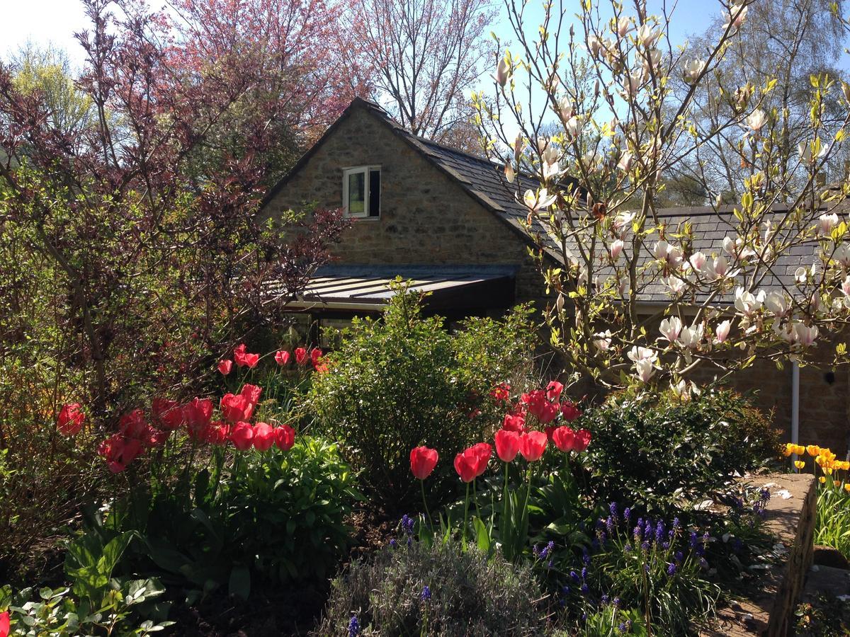 Bagnell Cottage Chiselborough Екстер'єр фото
