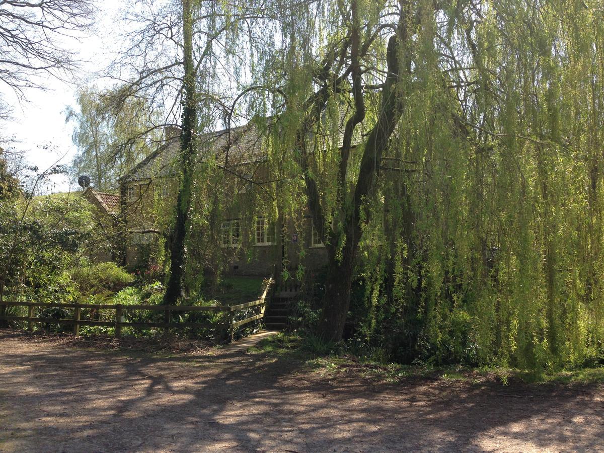 Bagnell Cottage Chiselborough Екстер'єр фото