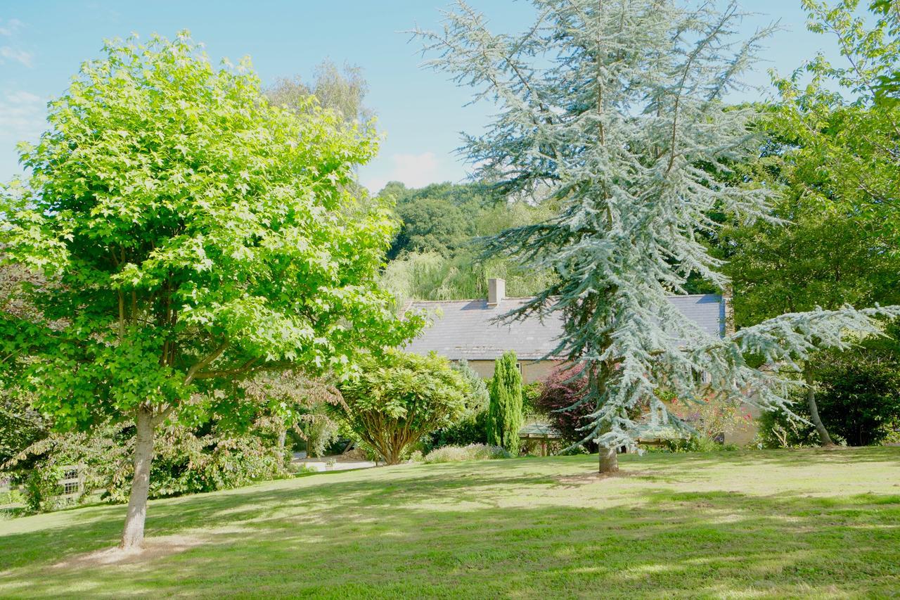 Bagnell Cottage Chiselborough Екстер'єр фото